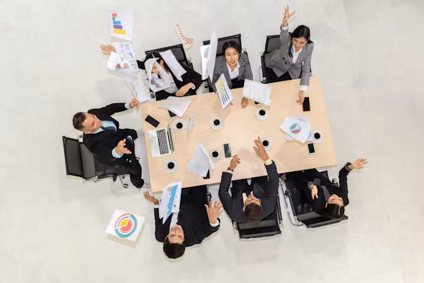 Litigation Assistance